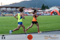 Fosso Bergamasco - Torre Boldone \ ph. Cristian RIVA